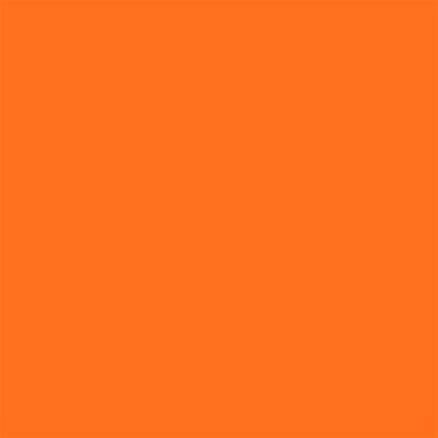 15-1460 TN Orange Clown Fish