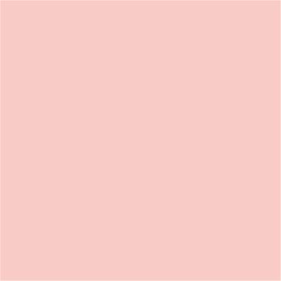 13-1409 TCX Seashell Pink