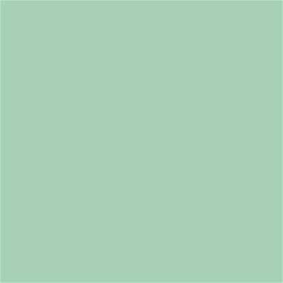 13-6110 TCX Mist Green