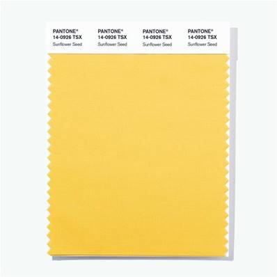 14-0926 TSX Sunflower Seed - Polyester Swatch Card