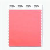 14-1325 TSX Peach Pie - Polyester Swatch Card