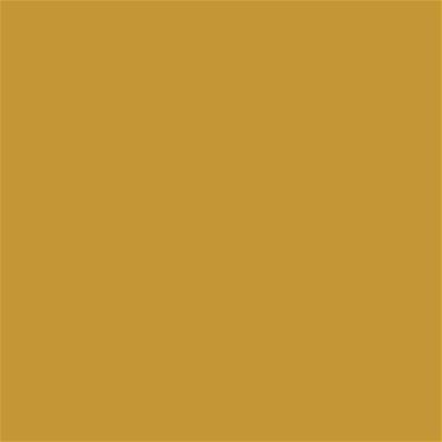 15-0948 TCX Golden Spice