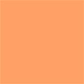 15-1243 TCX Papaya