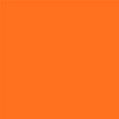 15-1460 TN Orange Clown Fish