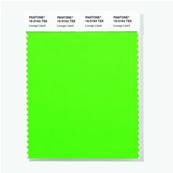 16-0163 TSX Lounge Lizard - Polyester Swatch Card