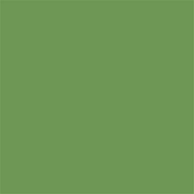 16-0233 TCX Meadow Green