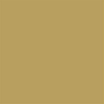 16-0730 TCX Antique Gold