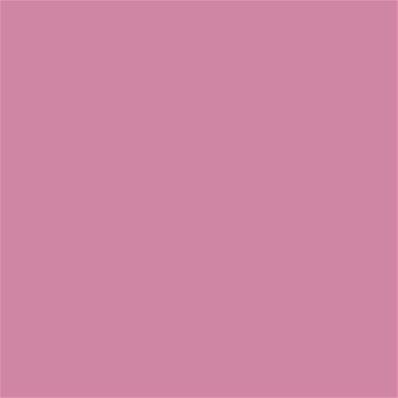 16-2215 TCX Cashmere Rose