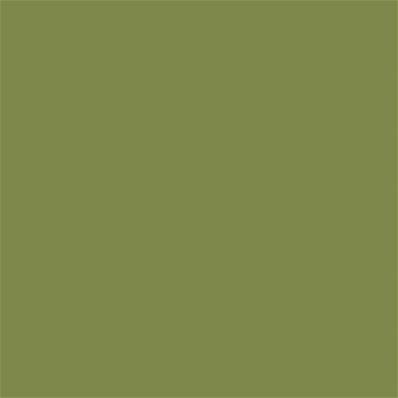 17-0330 TCX Turtle Green
