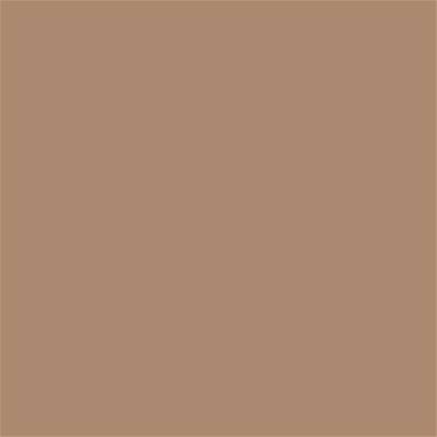 17-1223 TCX Praline