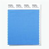 17-4022 TSX Top O The Morning - Polyester Swatch Card