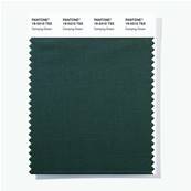 19-0310 TSX Camping Green - Polyester Swatch Card