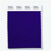 19-3629 TSX Purple Pak Choi - Polyester Swatch Card