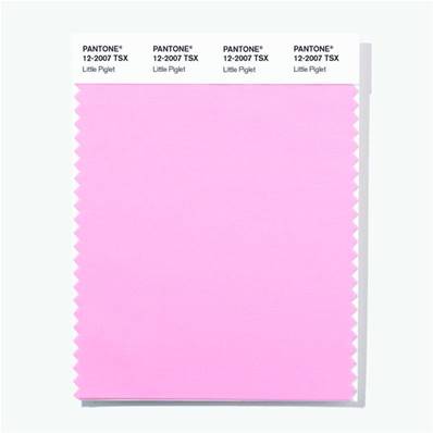 12-2007 TSX Little Piglet - Polyester Swatch Card