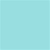 13-4810 TCX Limpet Shell