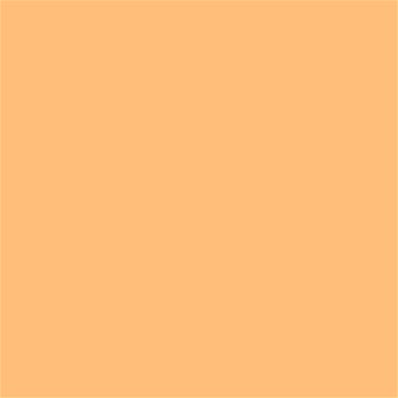 14-1128 TCX Buff Orange