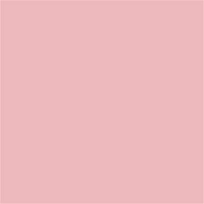 14-1511 TCX Powder Pink