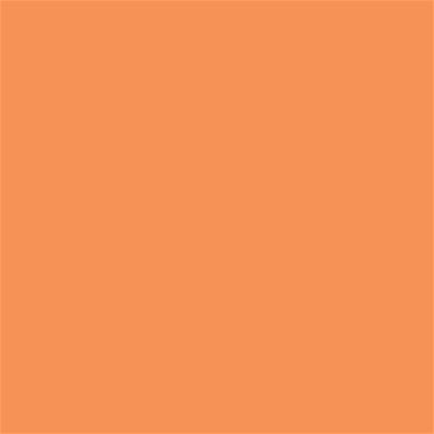15-1247 TCX Tangerine