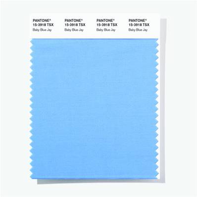 15-3918 TSX Baby Blue Jay - Polyester Swatch Card