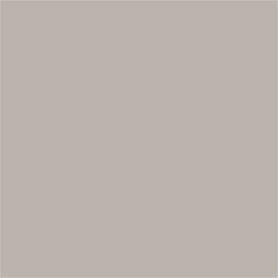 15-4502 TCX Silver Cloud