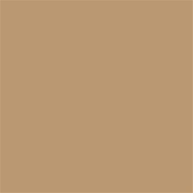 16-1334 TCX Tan