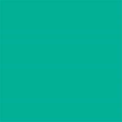 16-5427 TCX Billiard