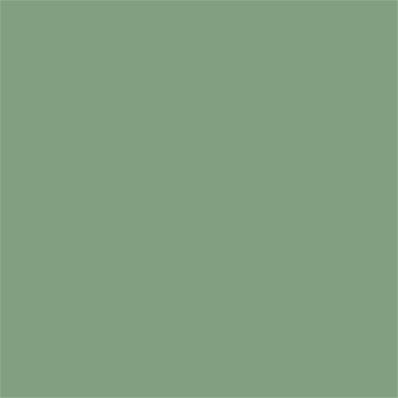 16-6216 TCX Basil
