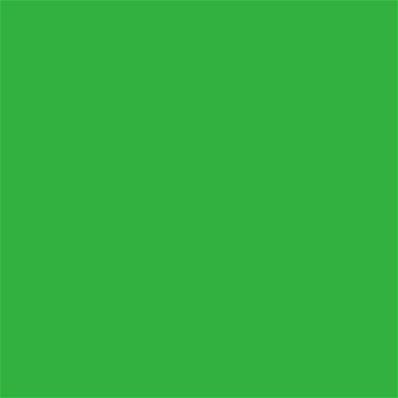 16-6340 TCX Classic Green