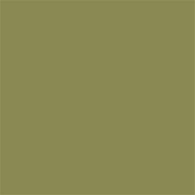 17-0535 TCX Green Olive