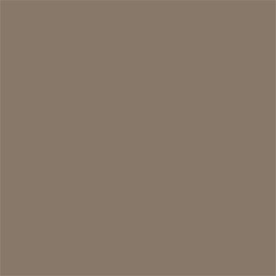 17-0808 TCX Taupe Gray