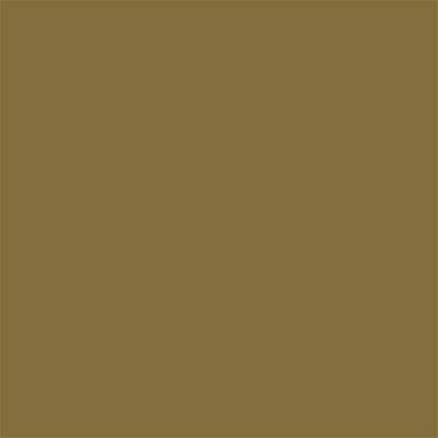 17-0935 TCX Dull Gold