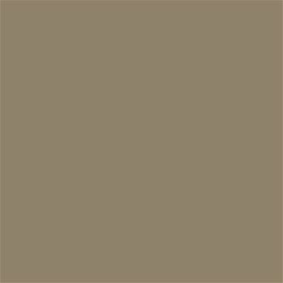 17-1113 TCX Coriander
