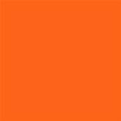 17-1341 TCX Tawny Orange