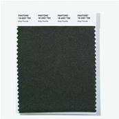 18-4007 TSX Gray Fluorite - Polyester Swatch Card