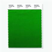 18-6329 TSX Scallion - Polyester Swatch Card