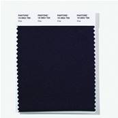 19-3904 TSX Char - Polyester Swatch Card