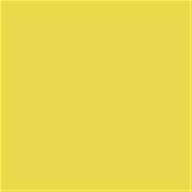 13-0646 TCX Meadowlark