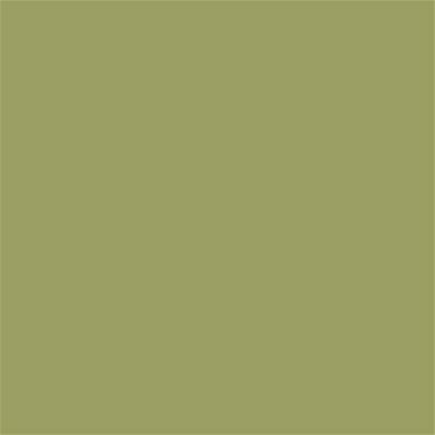 16-0430 TCX Fern