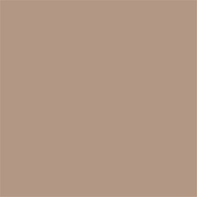16-1318 TCX Warm Taupe