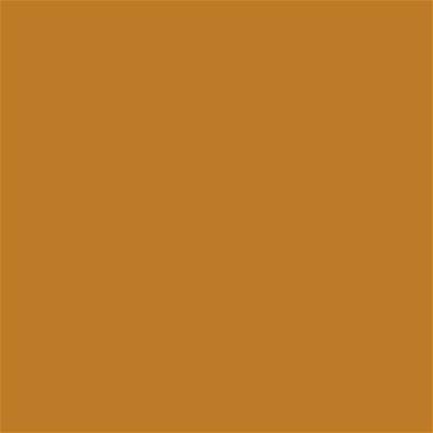 17-1048 TCX Inca Gold