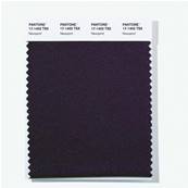 17-1402 TSX Newsprint - Polyester Swatch Card