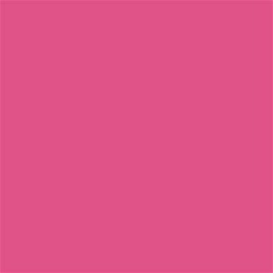 17-2033 TCX Fandango Pink