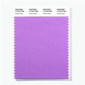17-3316 TSX Purple Jasper - Polyester Swatch Card