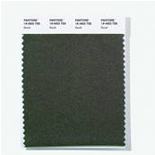 19-4002 TSX Basalt - Polyester Swatch Card