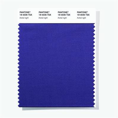 19-4036 TSX Astral Night - Polyester Swatch Card