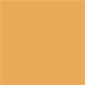 13-0946 TCX Jurassic Gold