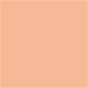 13-1125 TCX Peach Quartz