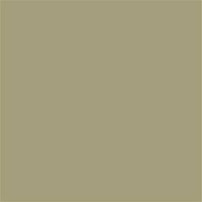 16-0518 TCX Gray Green