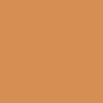 16-1342 TCX Buckskin