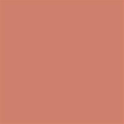 17-1341 TCX Tawny Orange